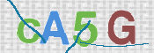 Gambar CAPTCHA
