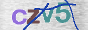 Gambar CAPTCHA