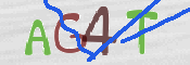 Gambar CAPTCHA