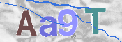 Gambar CAPTCHA