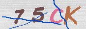 Gambar CAPTCHA