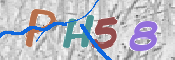 Gambar CAPTCHA