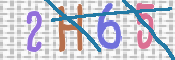 Gambar CAPTCHA