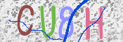 Gambar CAPTCHA