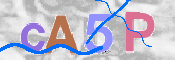 Gambar CAPTCHA
