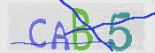 Gambar CAPTCHA