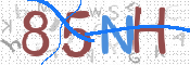Gambar CAPTCHA
