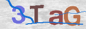 Gambar CAPTCHA