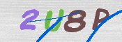 Gambar CAPTCHA