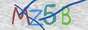 Gambar CAPTCHA