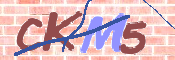Gambar CAPTCHA
